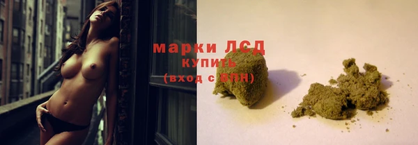 мяу мяу мука Алзамай