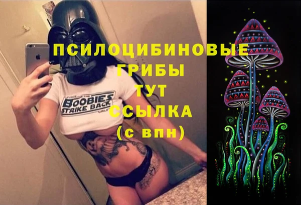 мяу мяу мука Алзамай