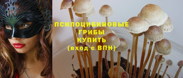 мяу мяу мука Алзамай