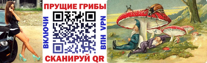 Псилоцибиновые грибы Psilocybine cubensis  blacksprut tor  Ачинск  где купить наркоту 